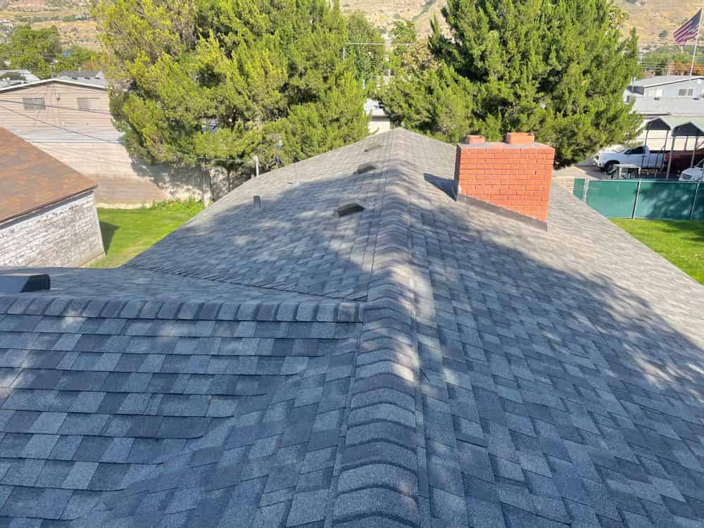 Shingles image