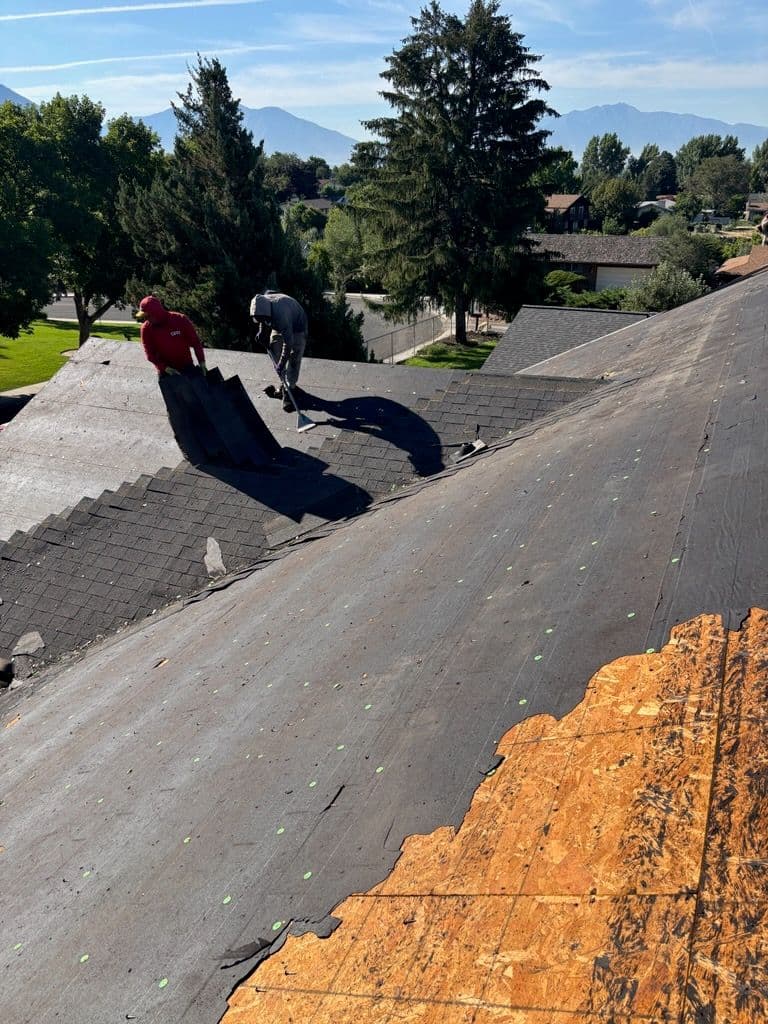Efficient Roof Teardown and Renovation in Orem